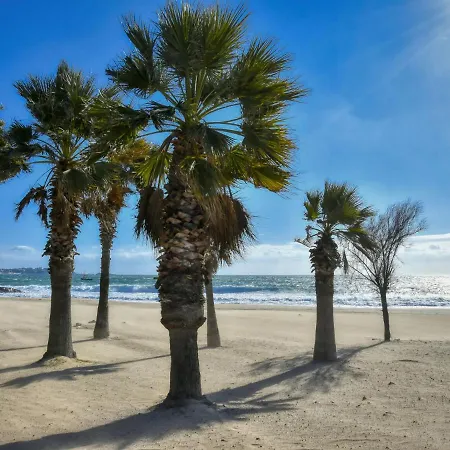 Apartament L'open-6 By Interhome